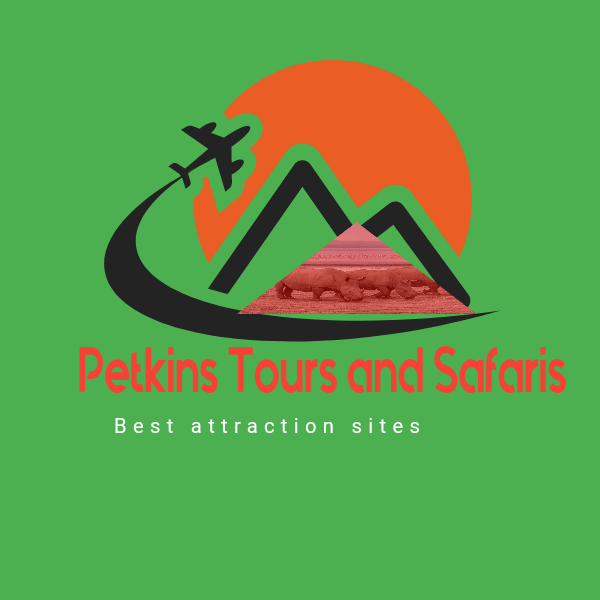 Petkins Tours and Safaris logo